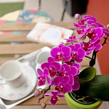 Duplex Pozo Canary * Pozo Izquierdo