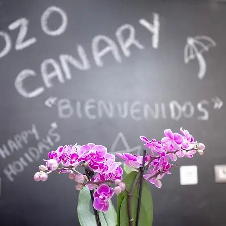 בית נופש Duplex Pozo Canary